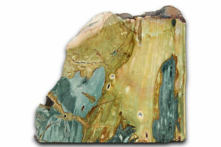 Free-Standing, Gary Green Jasper (Larsonite) Bog Wood - Oregon #334822